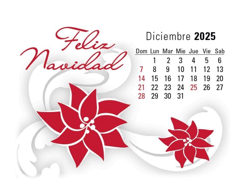Triumph® Calendars Press-N-Stick Spanish Calendar - 1