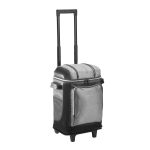 Coleman® 42-Can Soft-Sided Wheeled Cooler - 2
